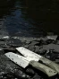 05.webp